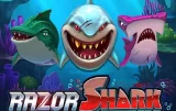 Razor Shark – Περιπέτεια κάτω από τη θάλασσα και κέρδη στο NV Casino
